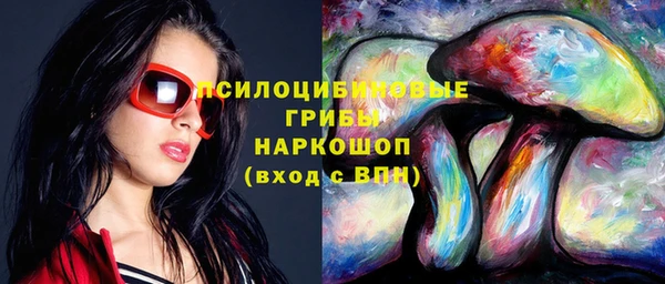 a pvp Семилуки