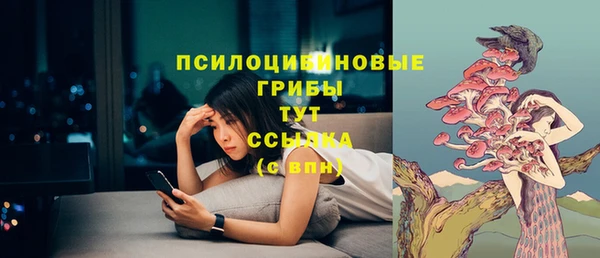 шишки Снежинск