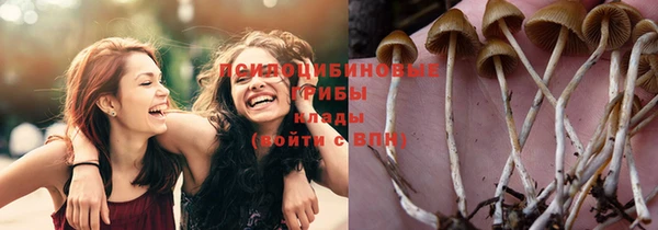 прущие крисы Семикаракорск
