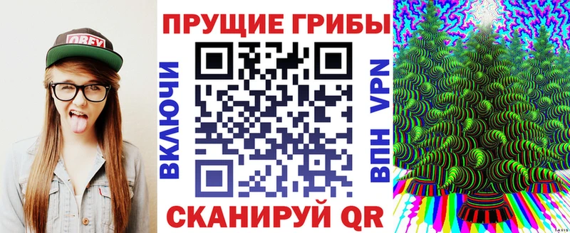 Псилоцибиновые грибы мицелий  Купить  Краснослободск 